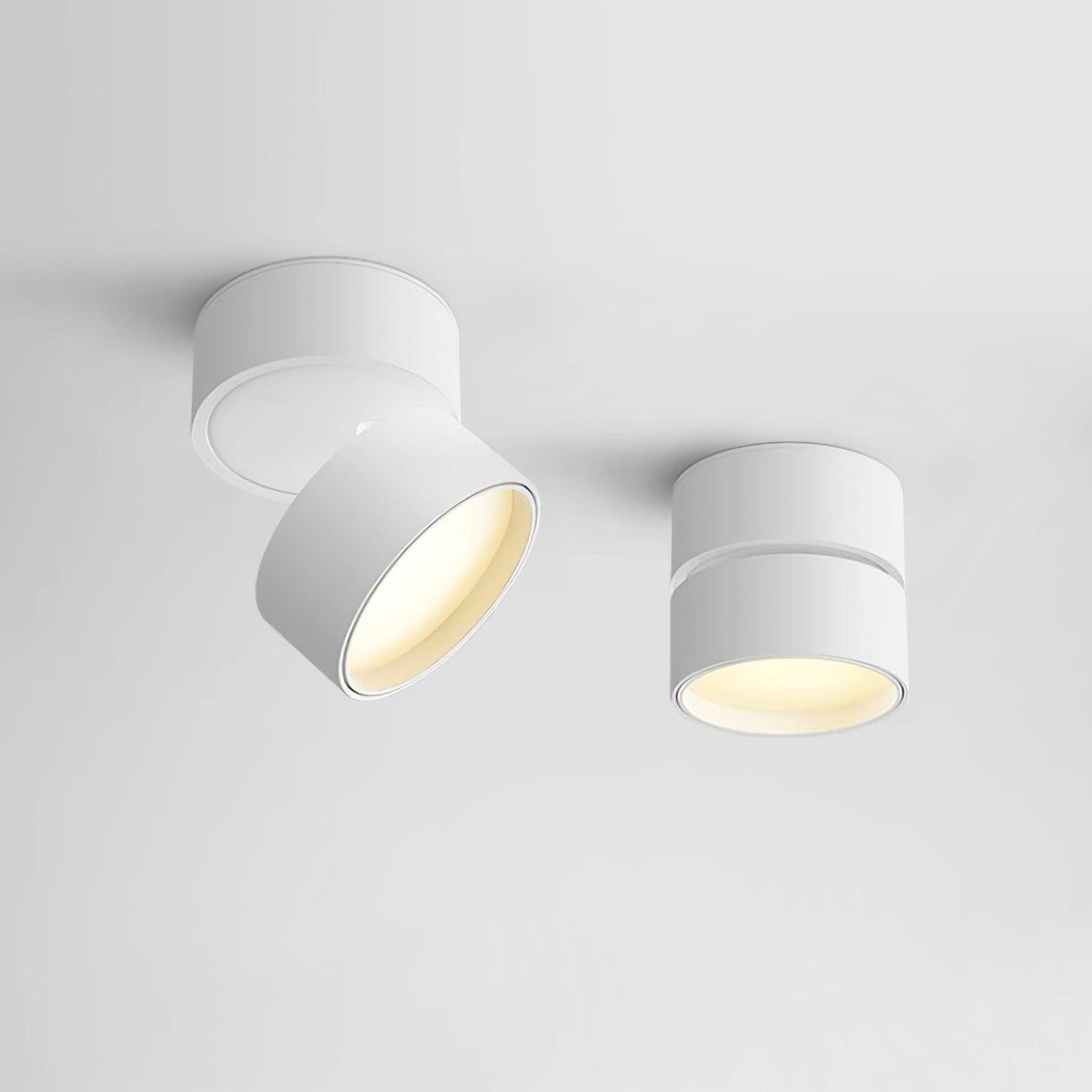 Favilla Surface Ceiling Light - Buy One, Get One Free!