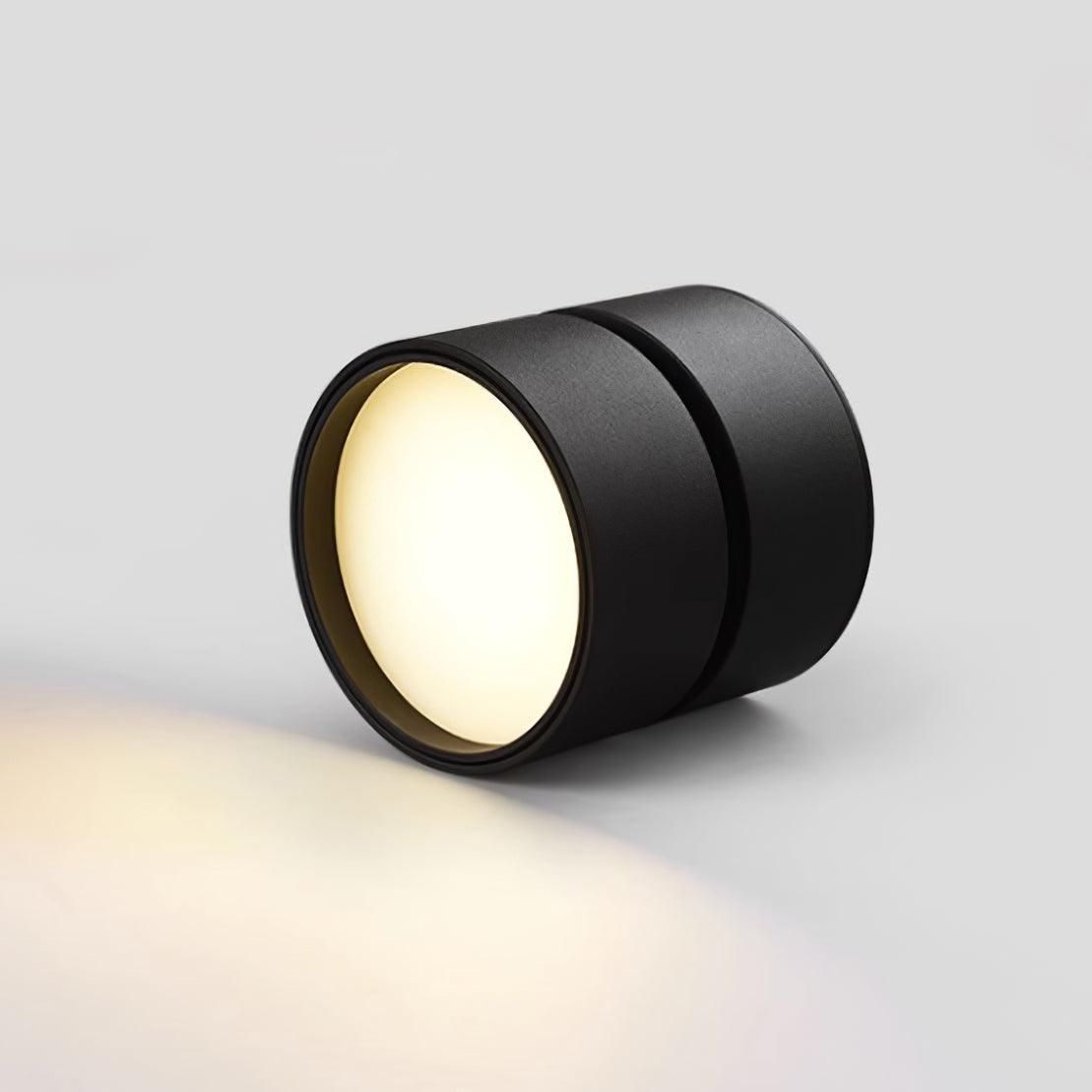 Favilla Surface Ceiling Light - Buy One, Get One Free!