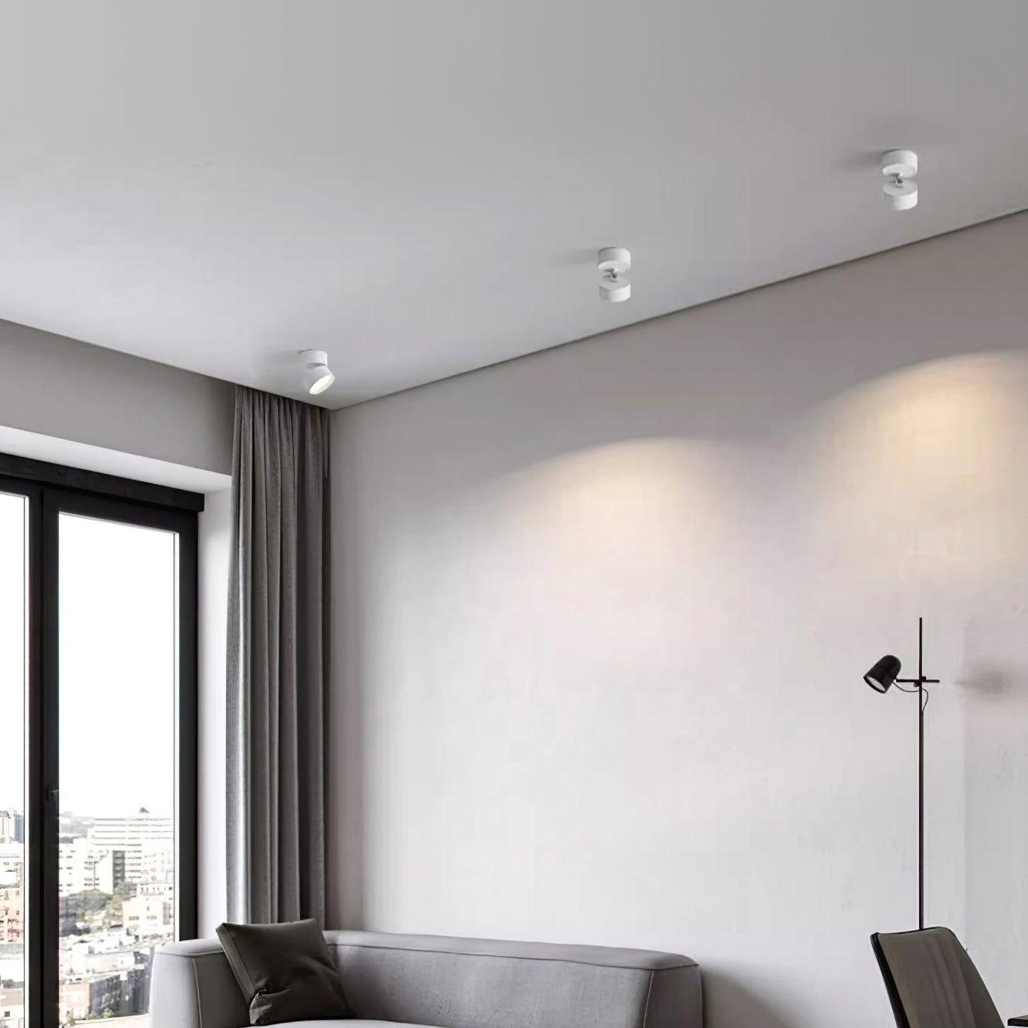 Favilla Surface Ceiling Light - Buy One, Get One Free!