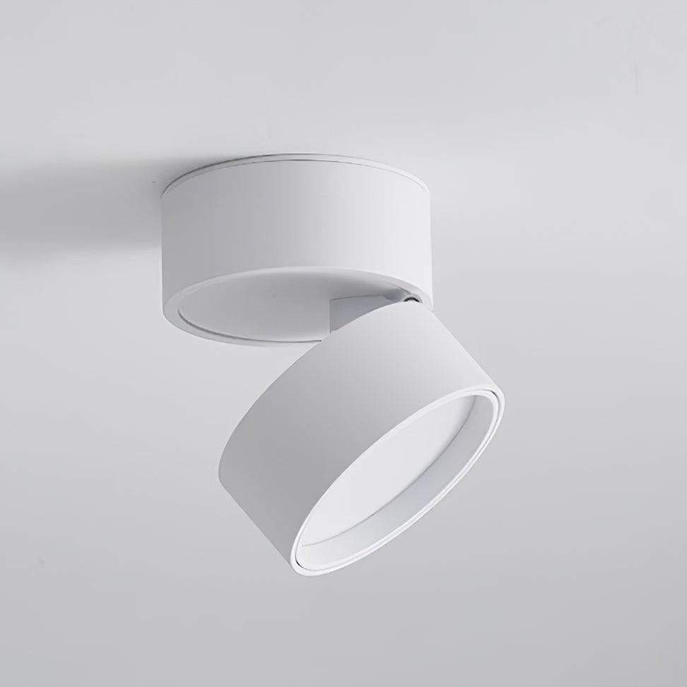 Favilla Surface Ceiling Light - Buy One, Get One Free!