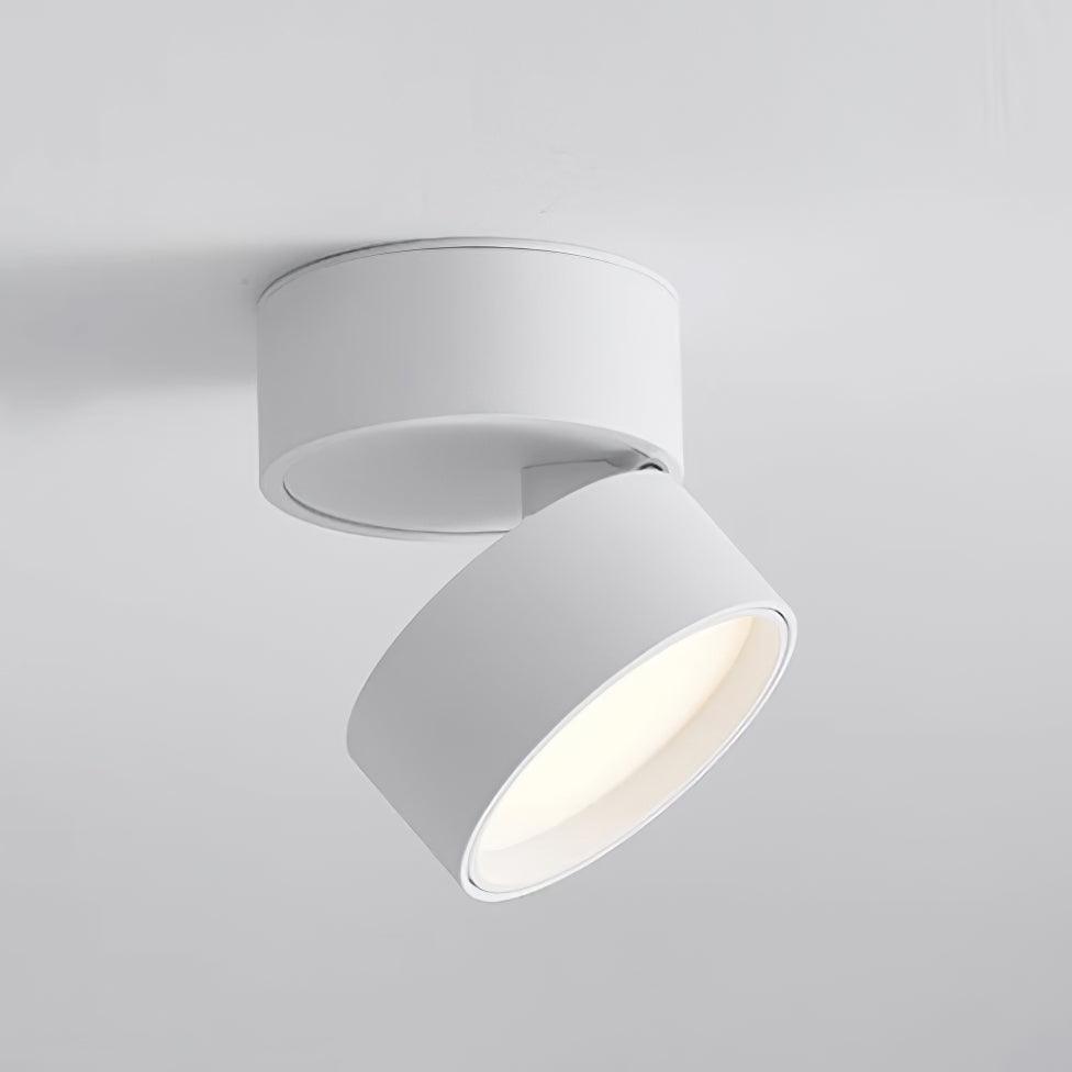 Favilla Surface Ceiling Light - Buy One, Get One Free!