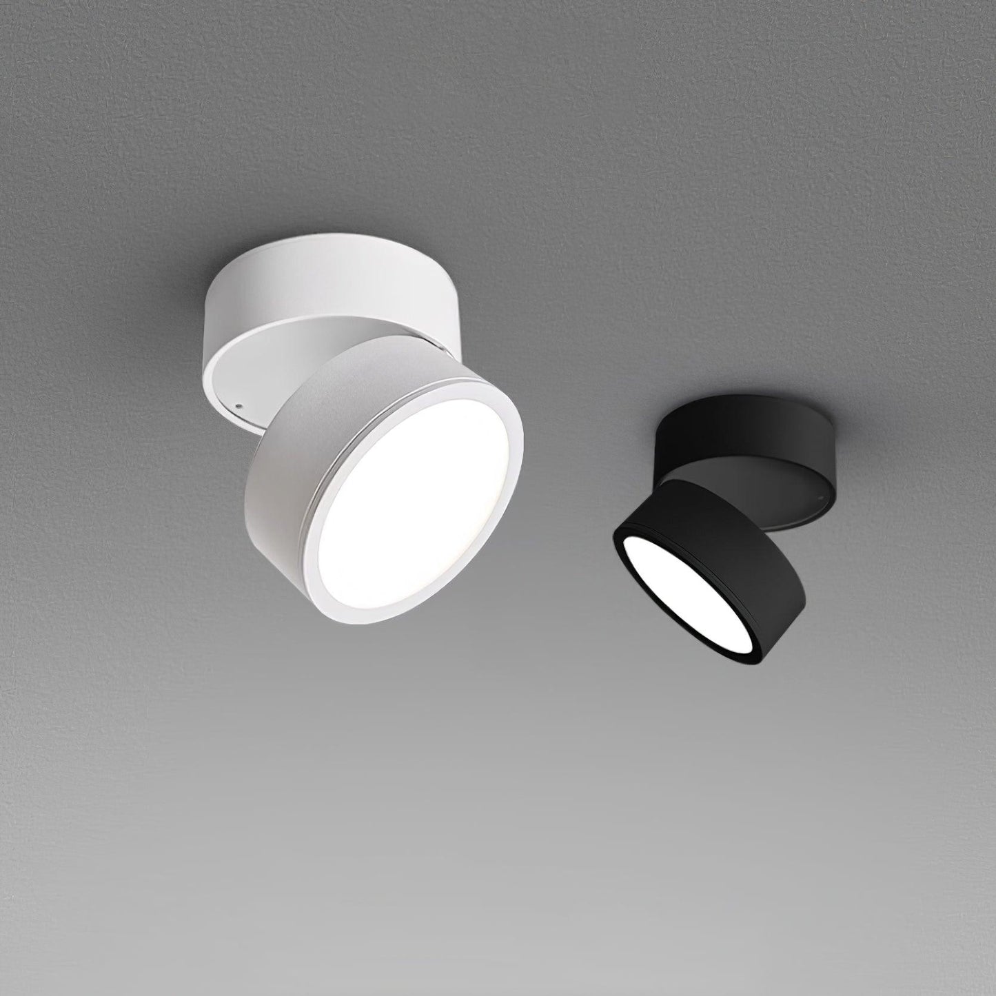 Favilla Surface Ceiling Light - Buy One, Get One Free!