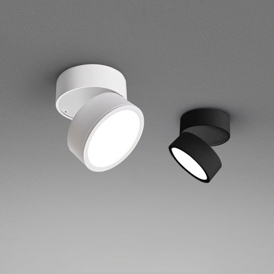 Favilla Surface Ceiling Light - Buy One, Get One Free!