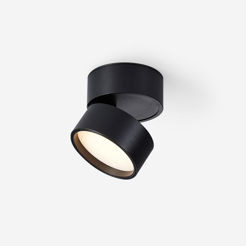Favilla Surface Ceiling Light - Buy One, Get One Free!