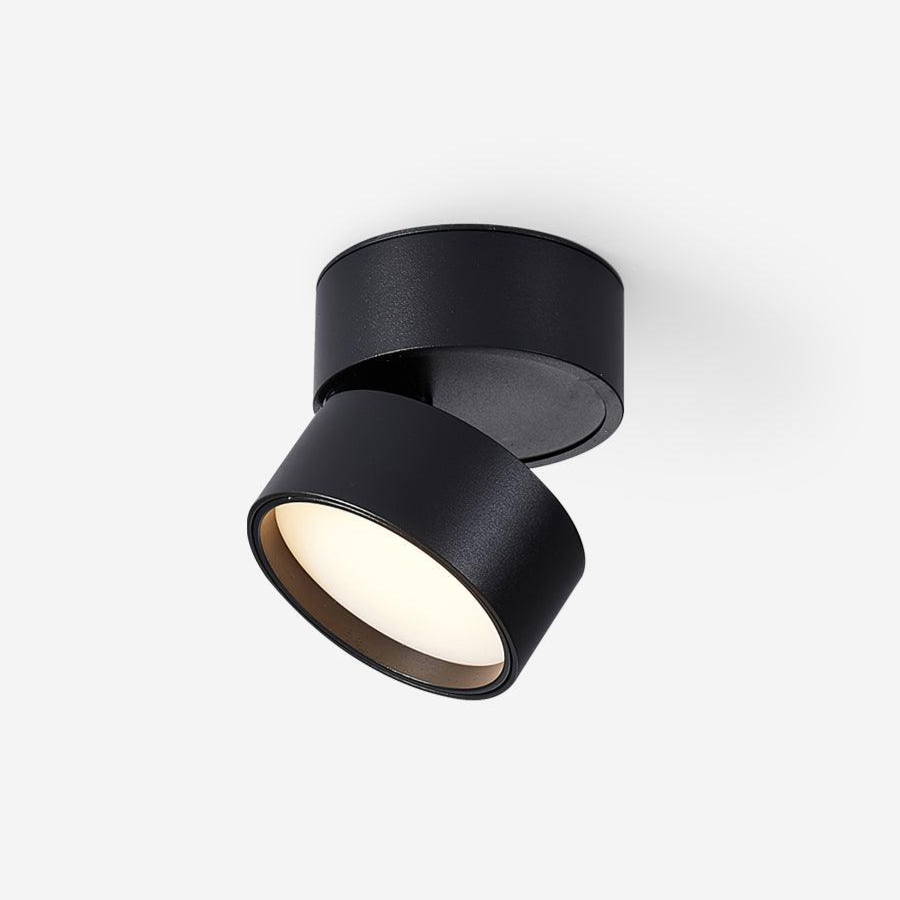 Favilla Surface Ceiling Light - Buy One, Get One Free!
