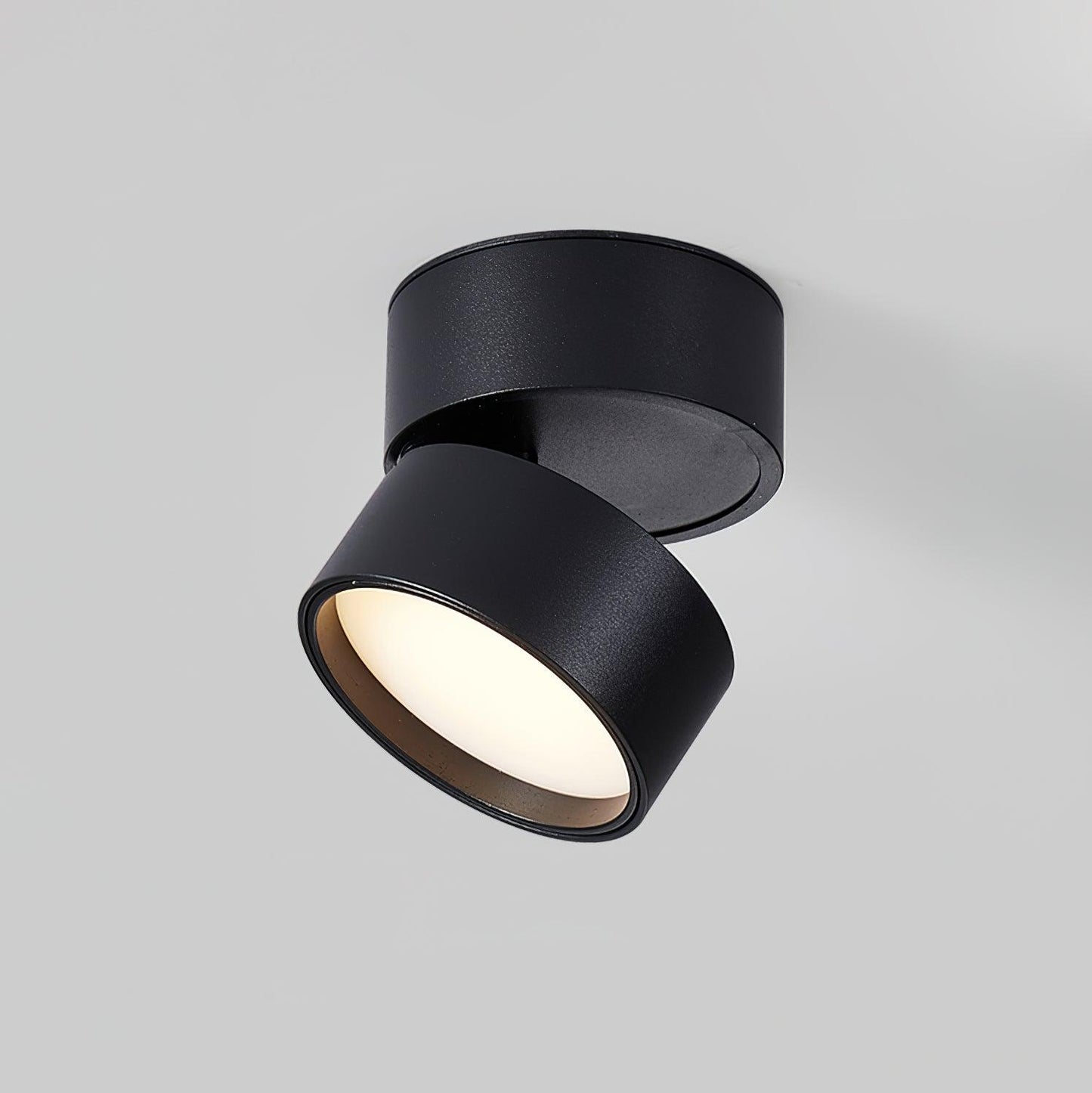 Favilla Surface Ceiling Light - Buy One, Get One Free!