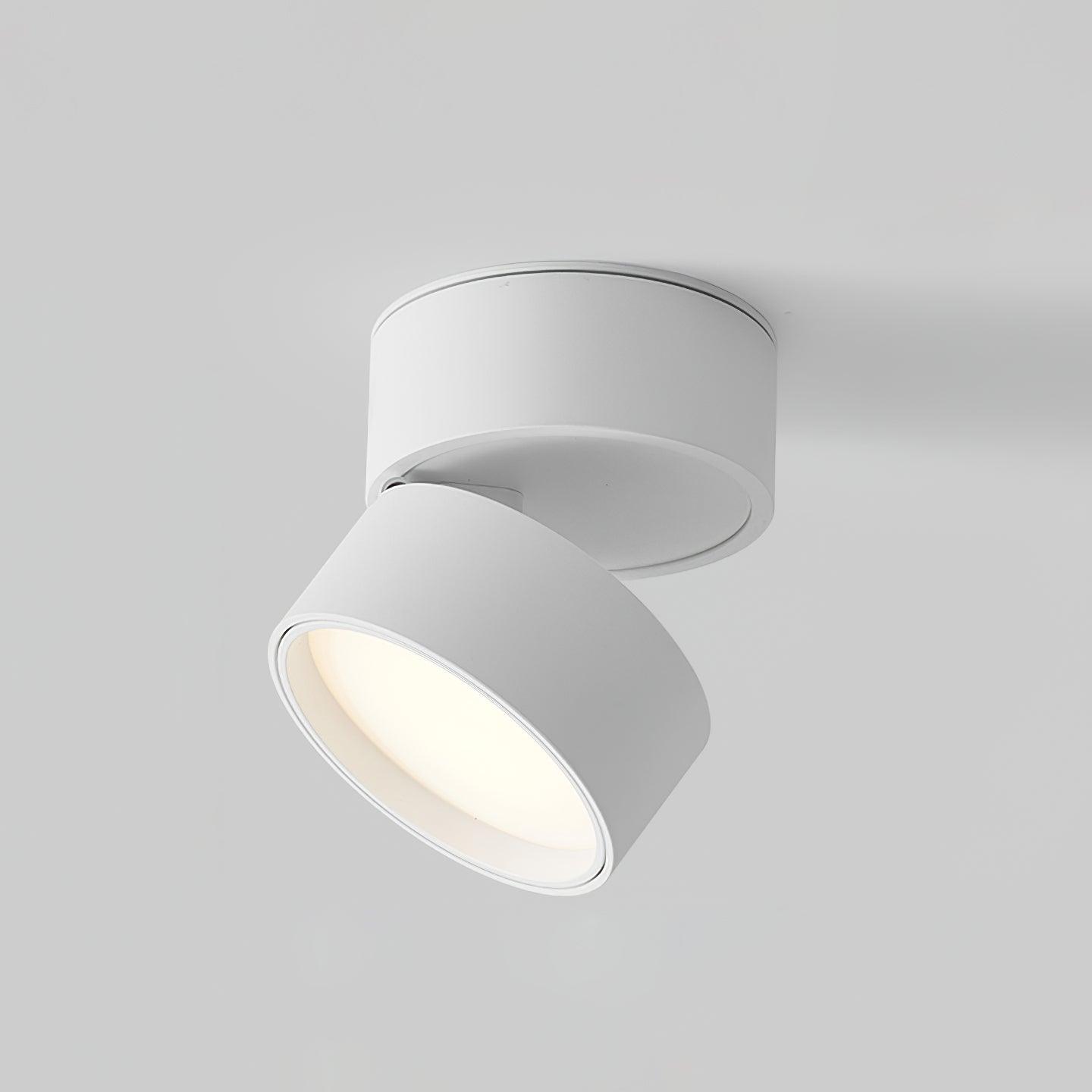 Favilla Surface Ceiling Light - Buy One, Get One Free!