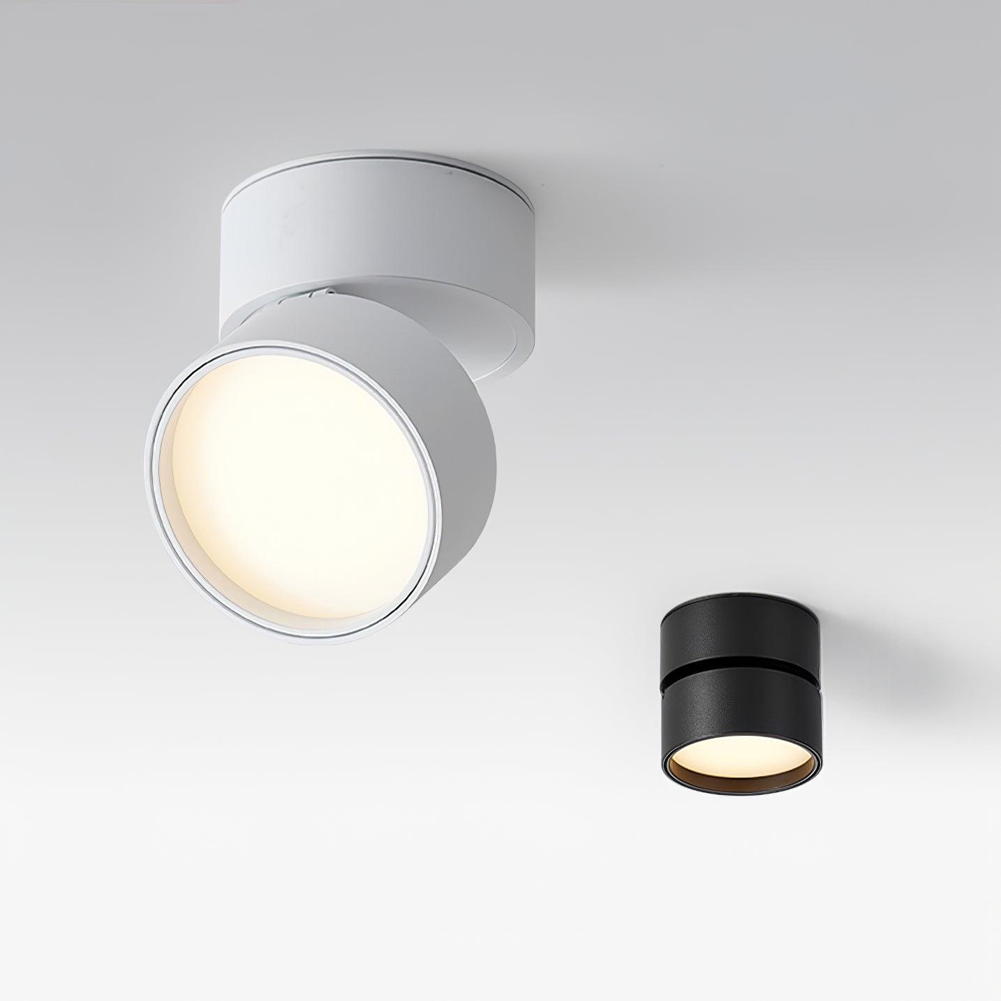 Favilla Surface Ceiling Light - Buy One, Get One Free!