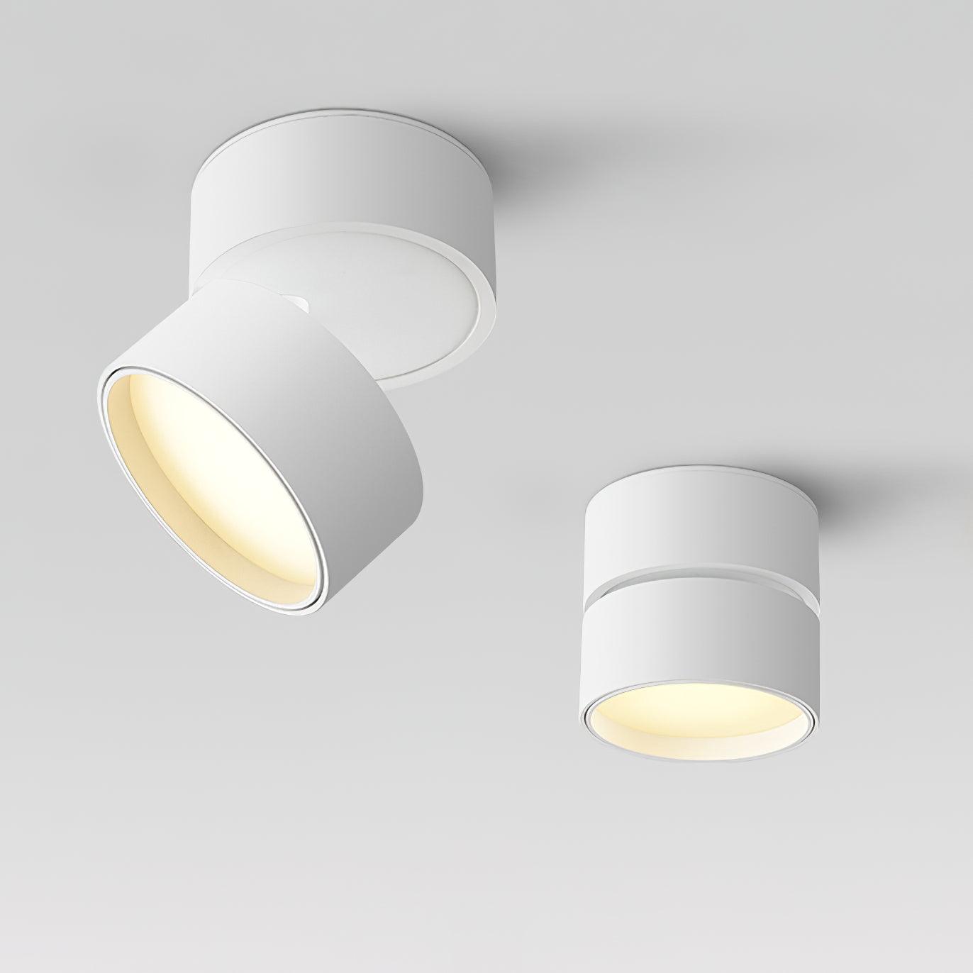 Favilla Surface Ceiling Light - Buy One, Get One Free!